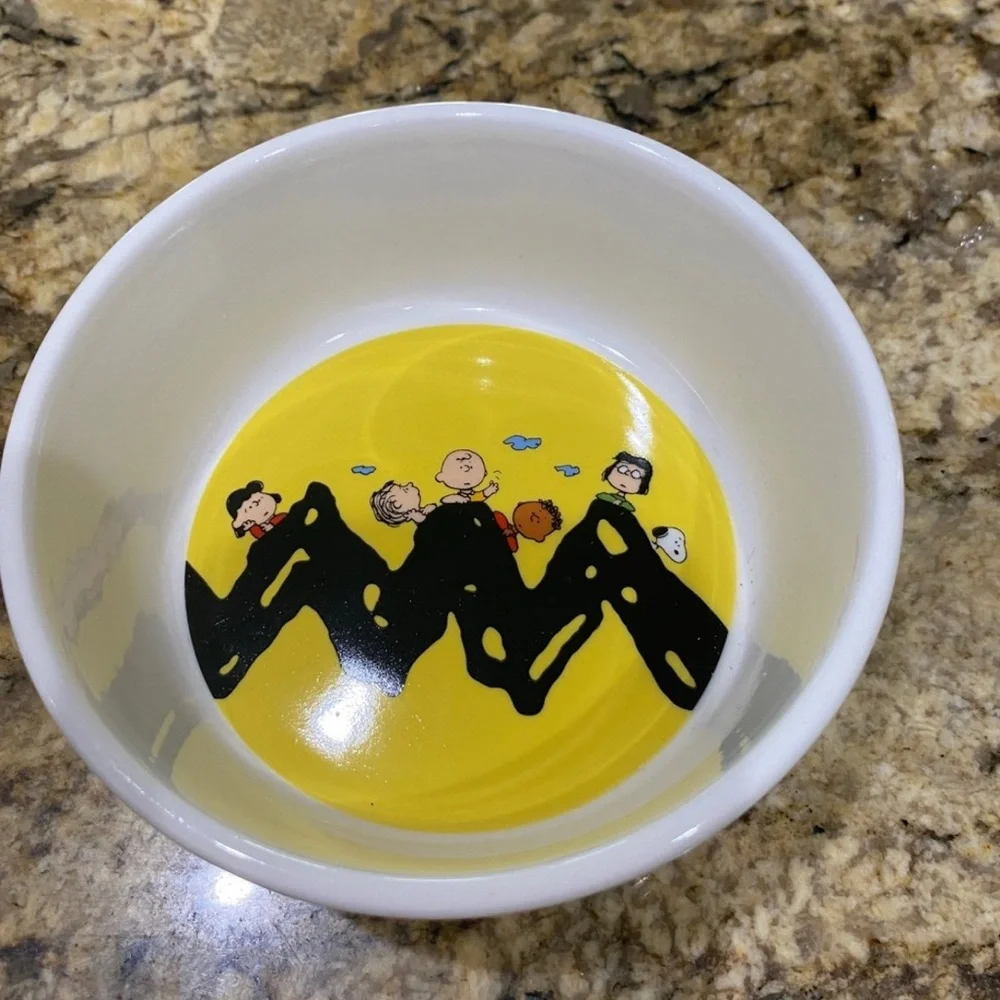 Peanuts Charlie Brown, Snoopy & The Gang Pet Bowl Brand new never used!
